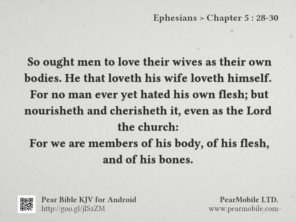 Ephesians, Chapter 5:28-30
